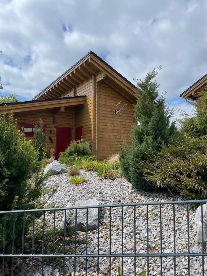 Blockhaus An Der Skiwiese Braunlage Dış mekan fotoğraf