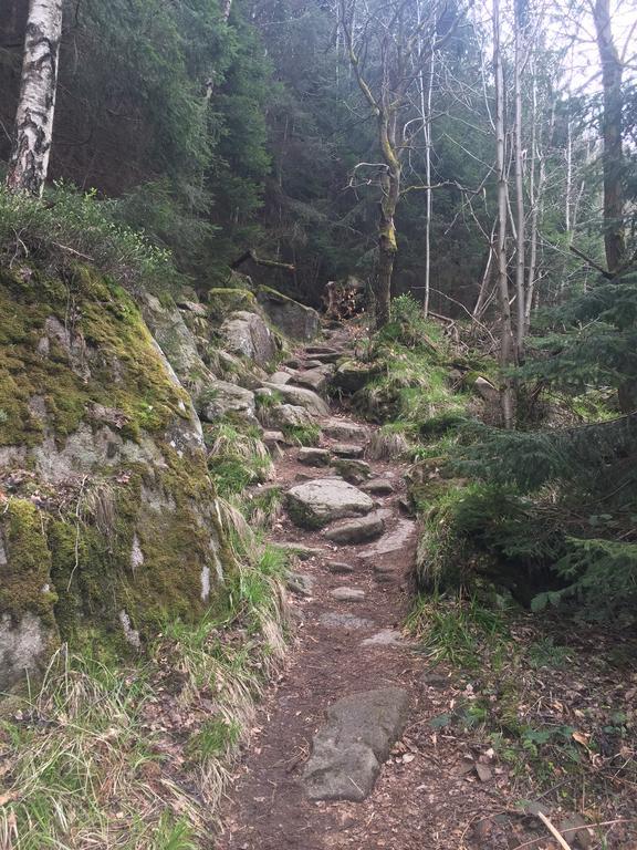 Blockhaus An Der Skiwiese Braunlage Dış mekan fotoğraf